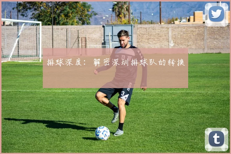排球深度：解密深圳排球队的转换