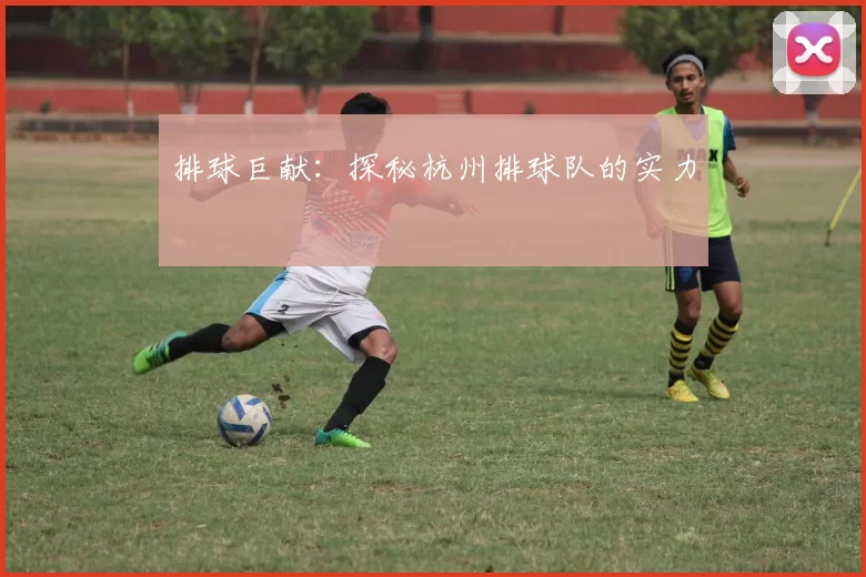 排球巨献：探秘杭州排球队的实力