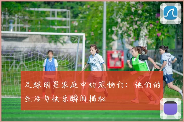 足球明星家庭中的宠物们：他们的生活与快乐瞬间揭秘