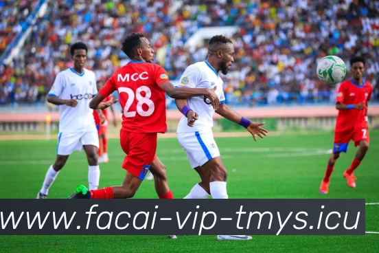 星空体育平台生态图